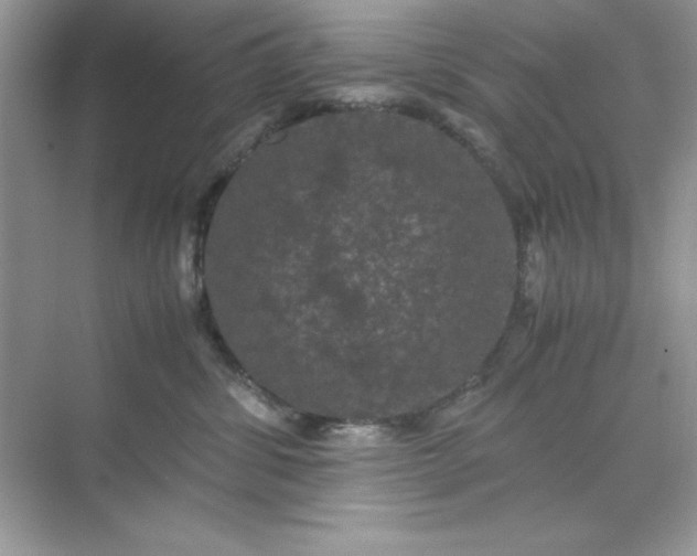 X0000071900428200607212021