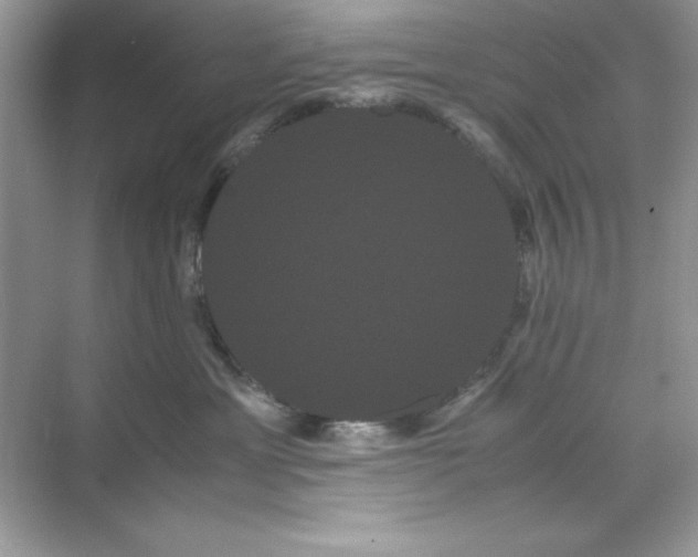 X0000071900429200607212021