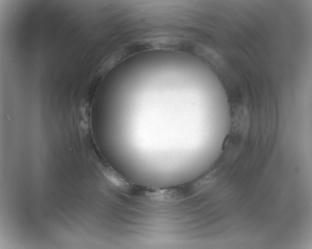 X0000071900430200607212021