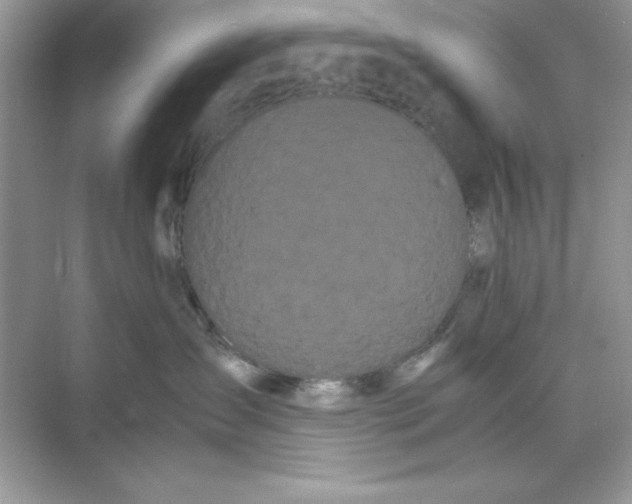 X0000071900431200607212021