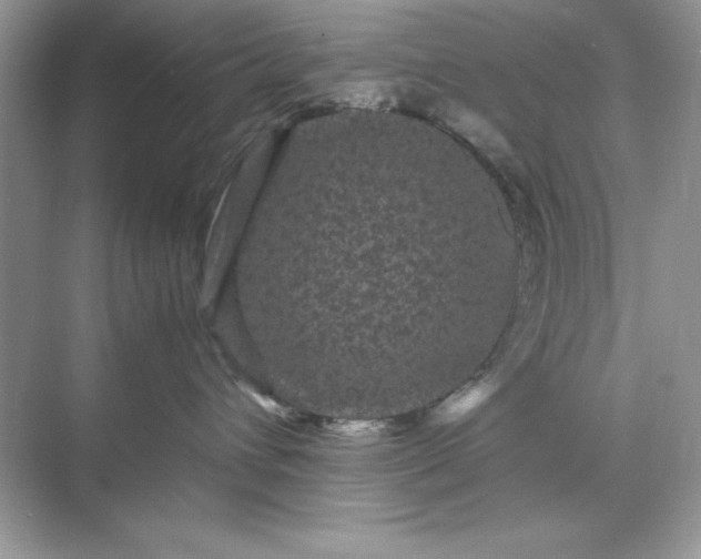 X0000071900432200607212021