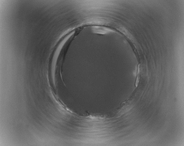 X0000071900434200607212020