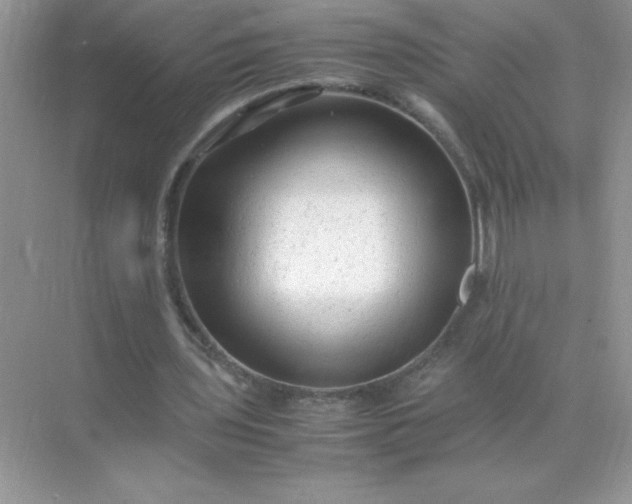 X0000071900435200607212020