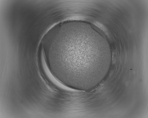 X0000071900436200607212020