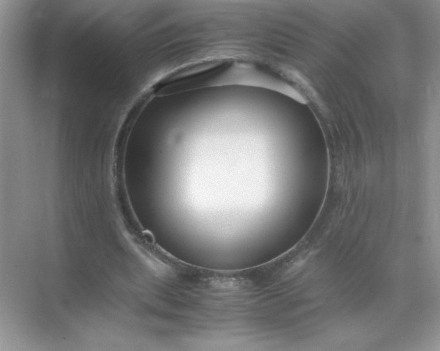 X0000071900439200607212020