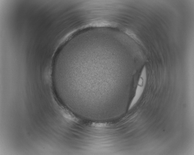 X0000071900440200607212020