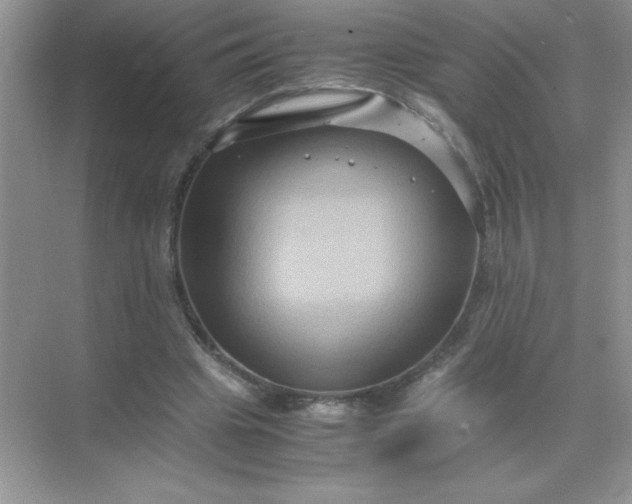 X0000071900441200607212020