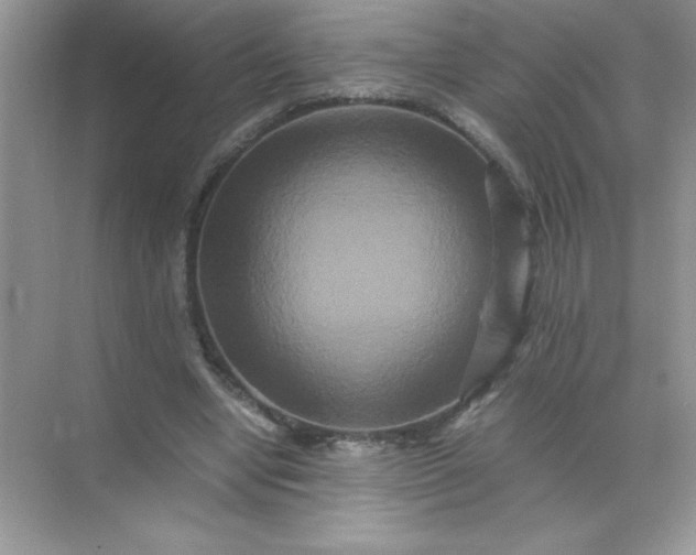 X0000071900442200607212020