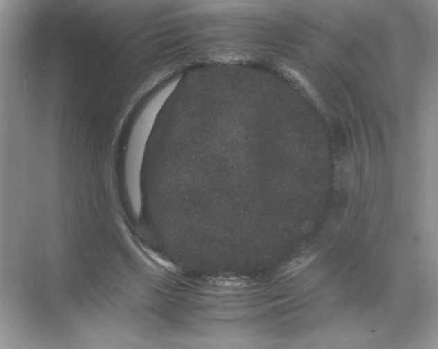 X0000071900443200607212020