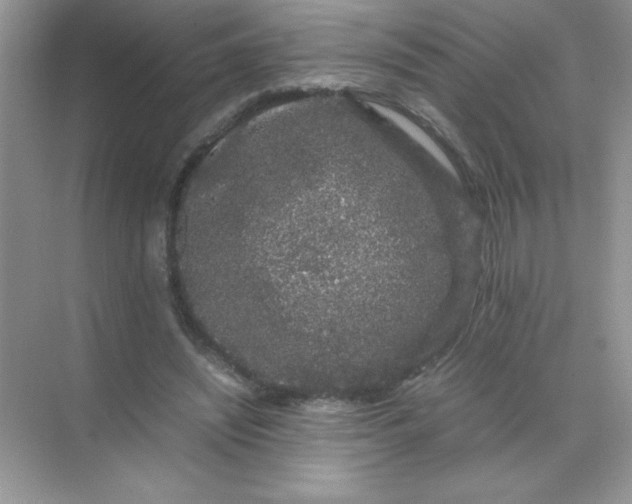 X0000071900444200607212020