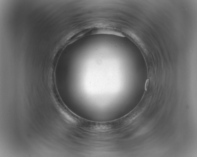 X0000071900445200607212020