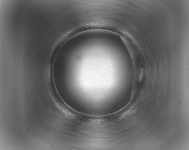 X0000071900446200607212020