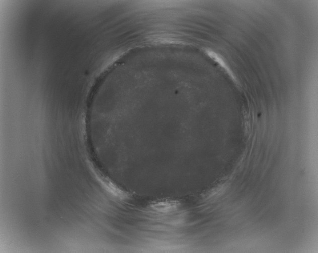 X0000071900447200607212020