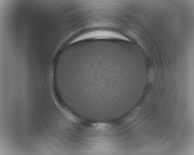 X0000071900448200607212021