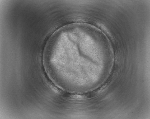 X0000071900449200607212021