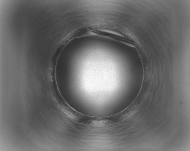 X0000071900450200607212021