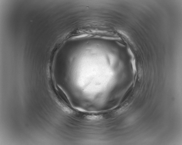 X0000071900453200607212021