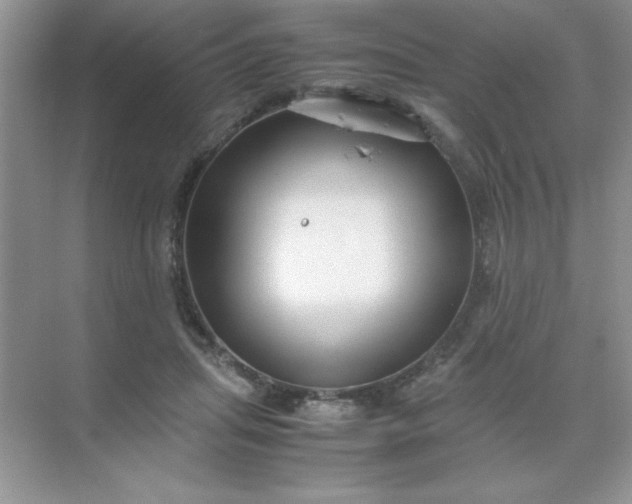 X0000071900455200607212021