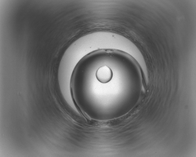 X0000071900456200607212021