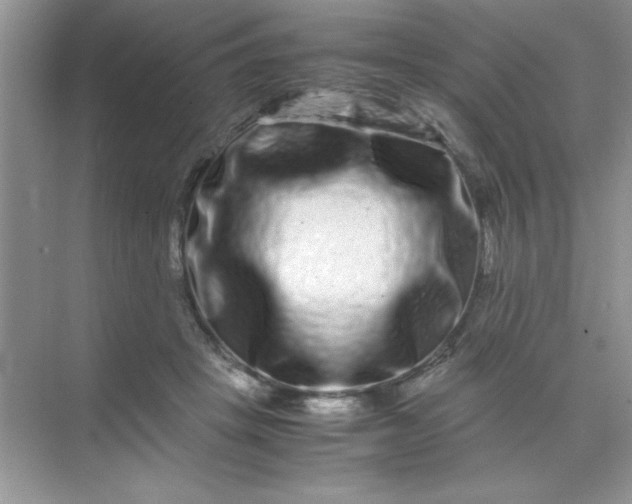 X0000071900457200607212021