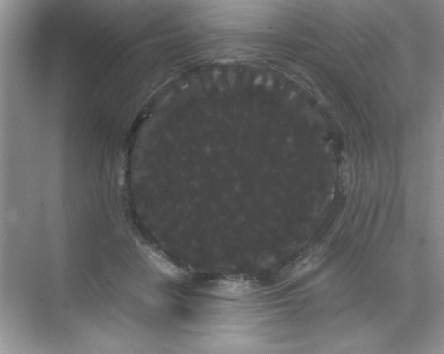 X0000071900458200607212021