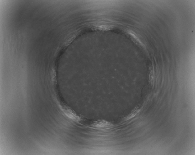 X0000071900459200607212021