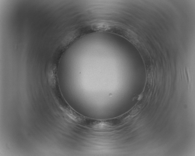 X0000071900460200607212021