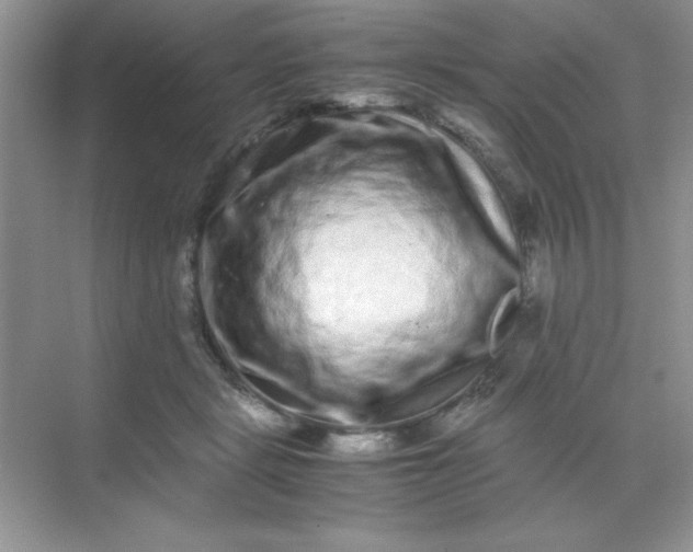 X0000071900461200607212021