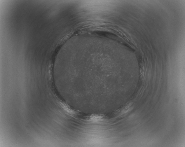 X0000071900462200607212021