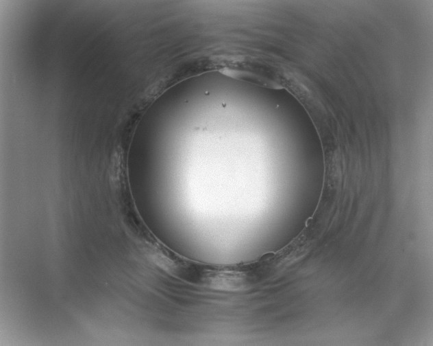 X0000071900463200607212021