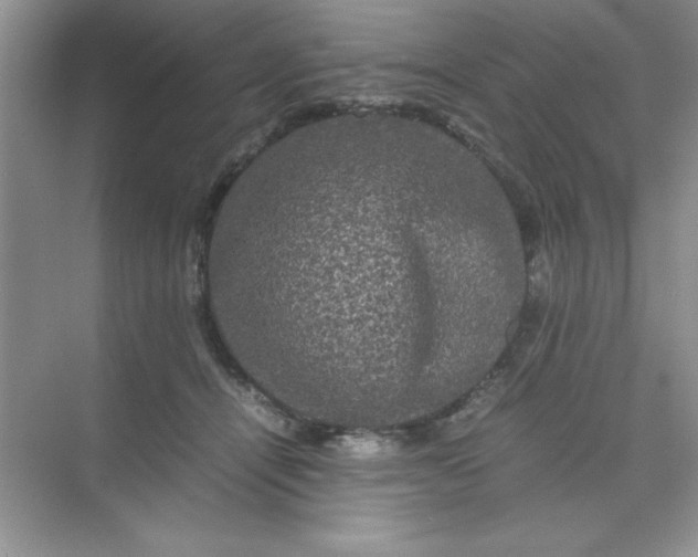 X0000071900464200607212021