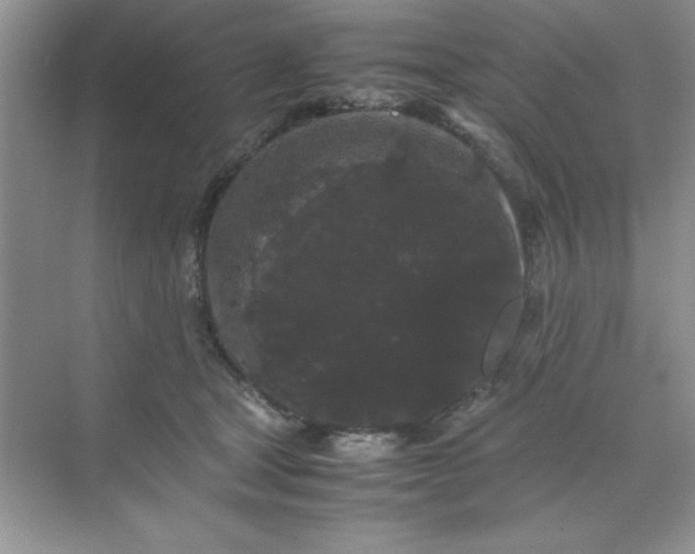 X0000071900465200607212021