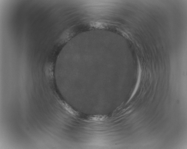 X0000071900466200607212021