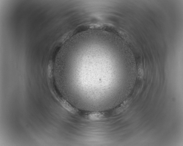 X0000071900468200607212021