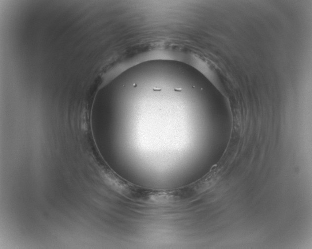 X0000071900470200607212021