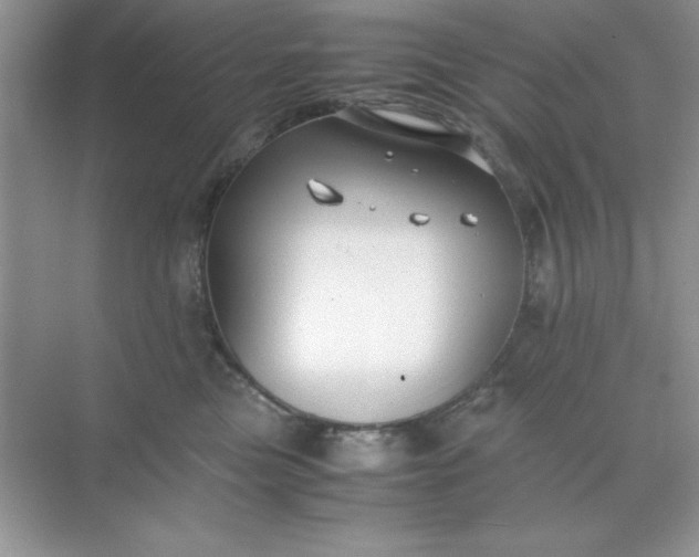 X0000071900473200607212021