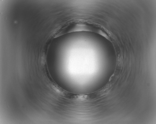 X0000071900474200607212021