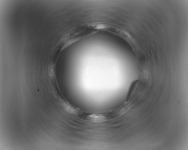 X0000071900477200607212021