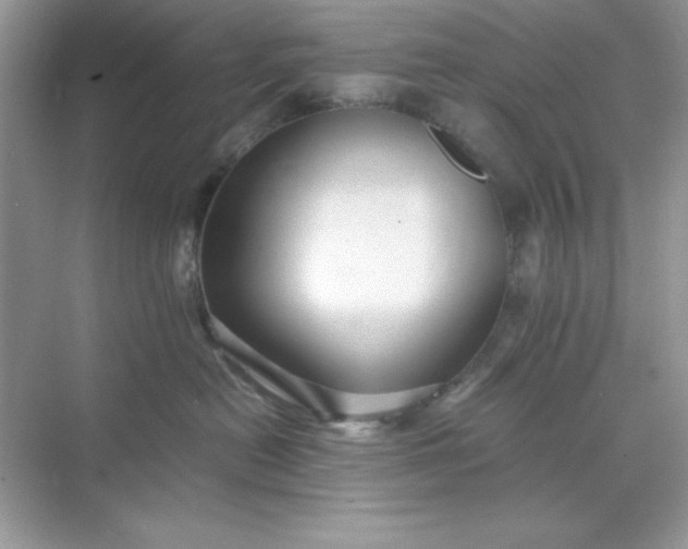 X0000071900478200607212021