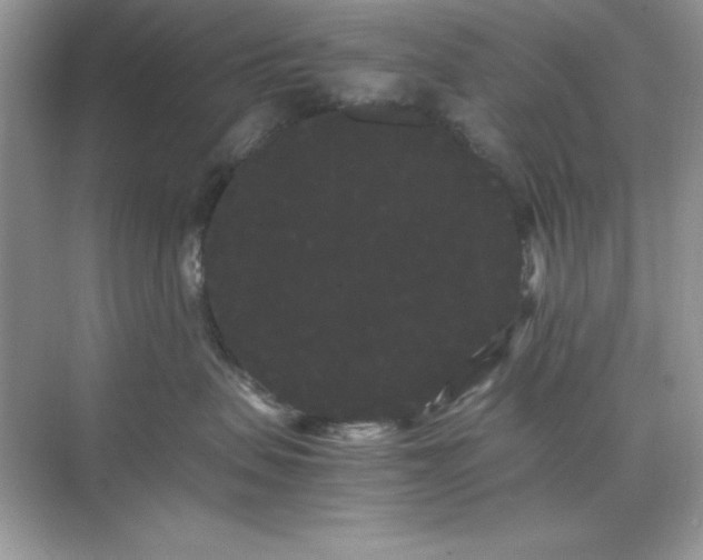 X0000071900479200607212021