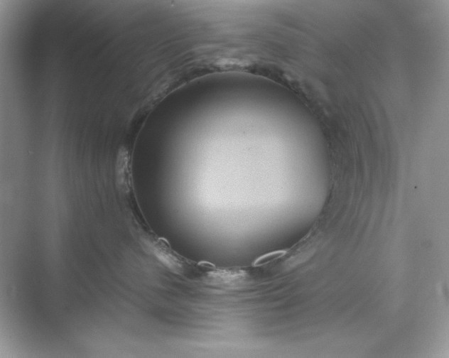 X0000071900480200607212021