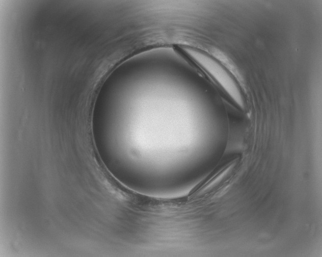 X0000071900481200607212020