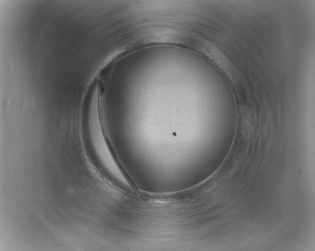 X0000071900482200607212020