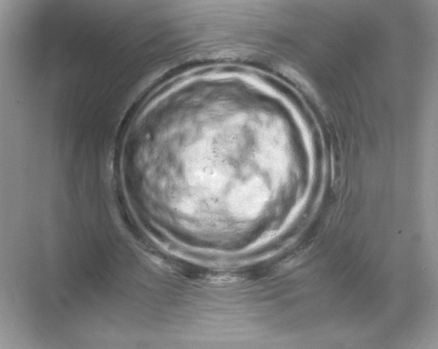 X0000071900483200607212020