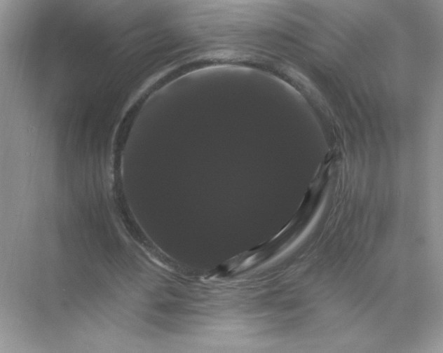 X0000071900484200607212020