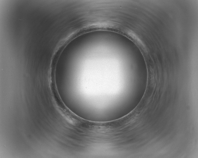 X0000071900486200607212020