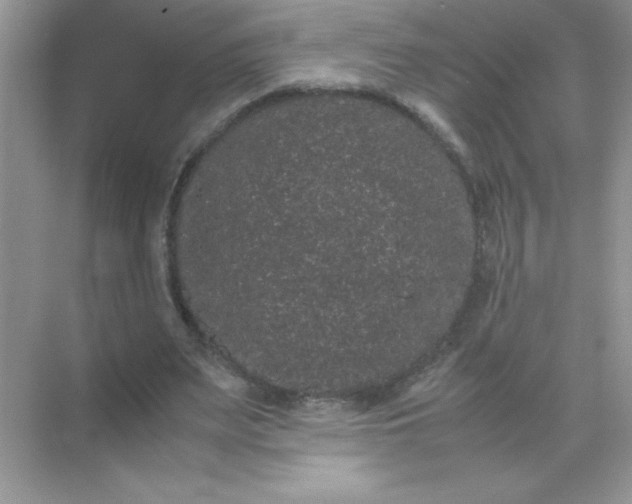 X0000071900487200607212020