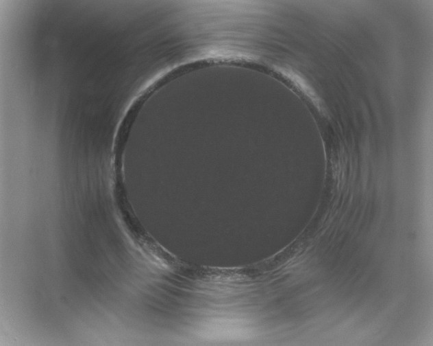 X0000071900488200607212020