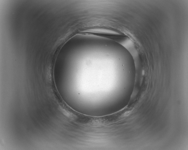 X0000071900489200607212020