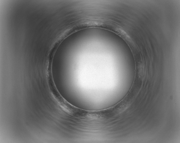 X0000071900490200607212020